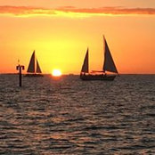 Jennifer Sandefur's photo