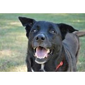 George Rocheleau's photo