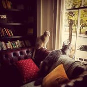 Sara Jar's photo