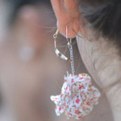 cocchi cocchi's photo