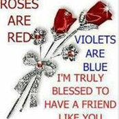 Patty Dunlap's photo
