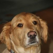 Marcia Nace's photo