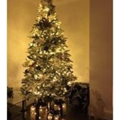 Janice Smith's photo