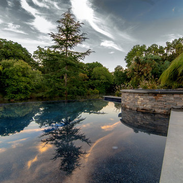 Swimming Pool Sun Shelf Design & Installation Bergen County Northern NJ