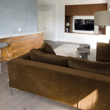 Living Room in Award Winning Contemporary Penthouse with Terrace