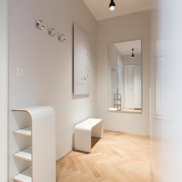 1 bedroom apartment, Prague