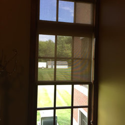 RollerShades - Window Treatments