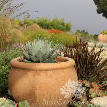 Dry Garden, Palos Verdes, CA