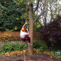 Installing a Treehouse Life Nest Swing project - Products