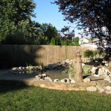 Casella Pond Renovation