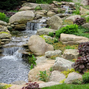 Water Garden pond