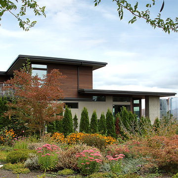 Bellevue Hilltop Residence