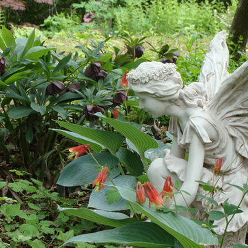 (After) Fairy Garden with Hellebore, Aquilegia & Hosta