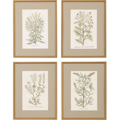 Botanical Study Leaf Berry Flower Wall Art Gold Frame Set Of 6 ~ Uttermost  33651