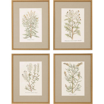 Botanical Plants Art, 4-Piece Set