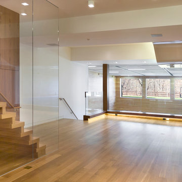 Frameless Glass Walls & Partitions