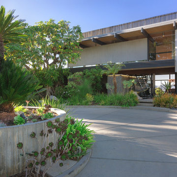 The Scheimer house. Architects Richard and Dion Neutra. 1972