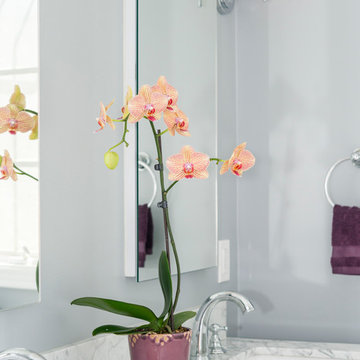 Bathroom Remodeling - Patricia Ave. LA