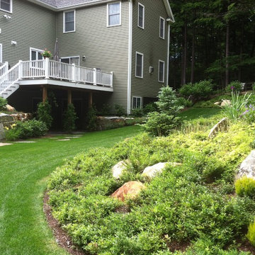 Slope Plantings