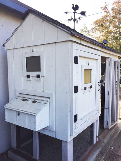 She Built A Chicken Coop And Was Surprised By What Happened Next