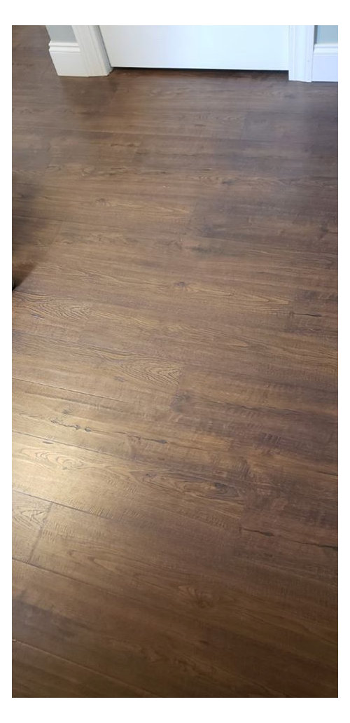 Wall Color Selection Help!