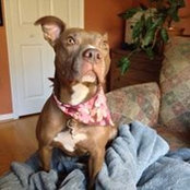 Foto de Patti Magee
