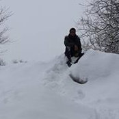 Jared Diaz's photo