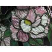 Natalie Anderson-Place's photo