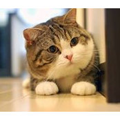 Yang Li's photo