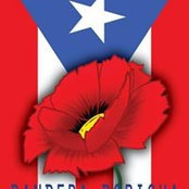 Foto von Irish Rican