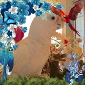 Gail Hyatt's photo