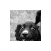 Emma Rees-Taylor's photo
