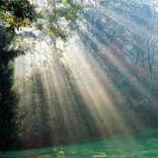 YiWen Lee's photo