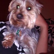 Trina Thomas-Ward's photo