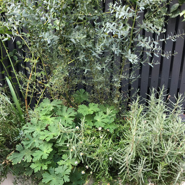 Using every square inch: a welcoming front garden giving year round joy