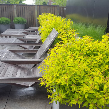 Rooftop Lounges