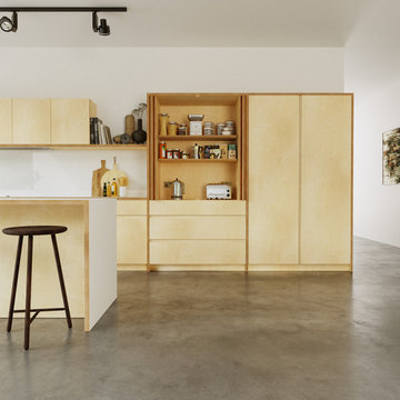 Minimal Plywood Kitchen