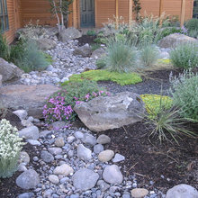 dry creek landscaping