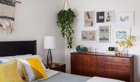 7 of the Coolest Hanging Planter Ideas