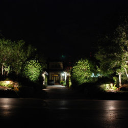 Lake Austin - Landscape Lighting