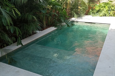 Ejemplo de piscina alargada actual rectangular en patio lateral con paisajismo de piscina y suelo de baldosas