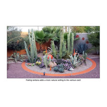 modern landscape