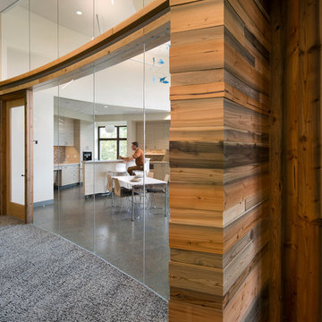 Transbay Terminal Douglas Fir