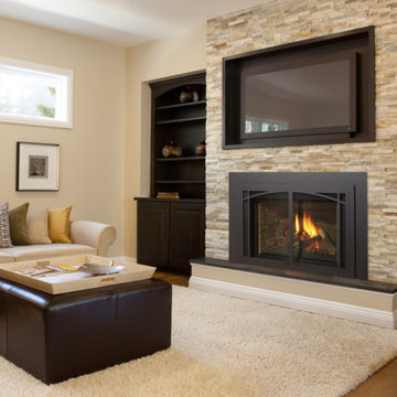 Gas Fireplace Inserts