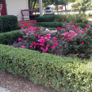 Our Work