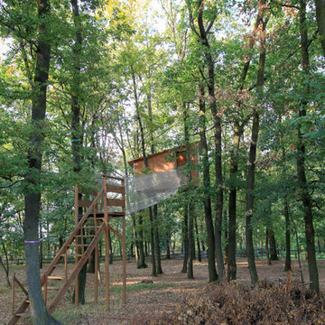 Nel Bosco