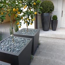 Landscape Ideas