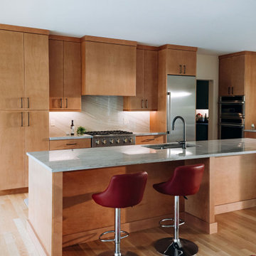 Single-Storey Oasis in Annandale