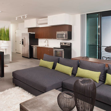 Sofia Lofts