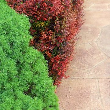 Hand-Cut Custom Overlay Shaped to Resemble Stone